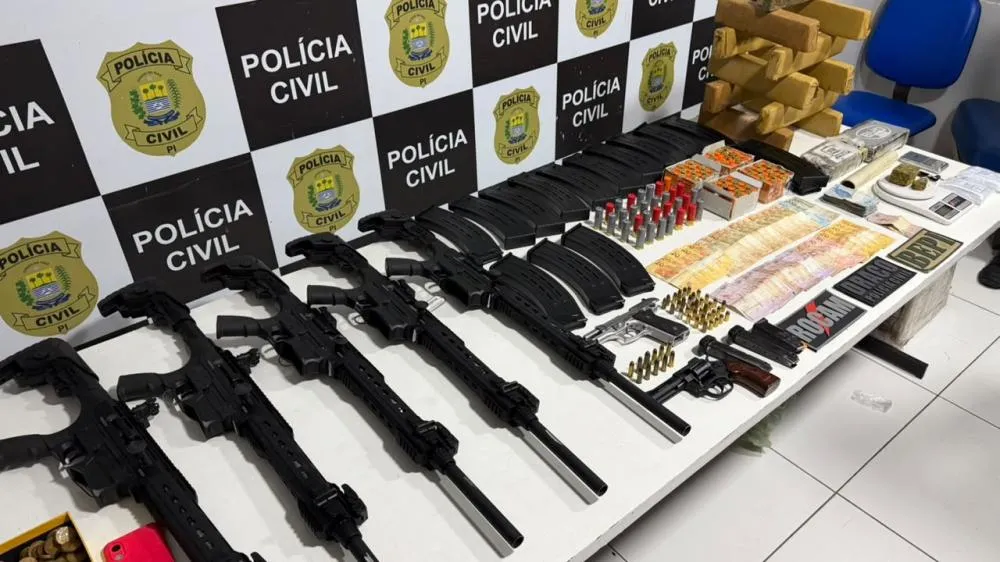 (Foto: Divulgação SSP/PI)